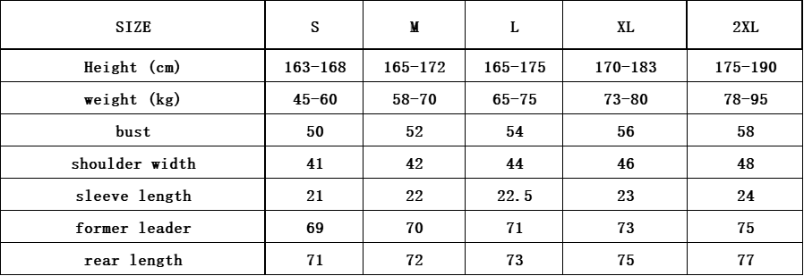 חולצות פולו טומי – תמונה 10