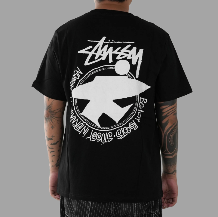 טישירט stussy – תמונה 30